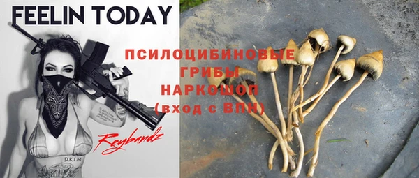 стафф Липки