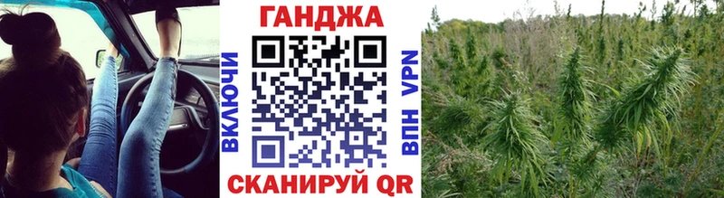 Каннабис план  Купить где  Нерюнгри 